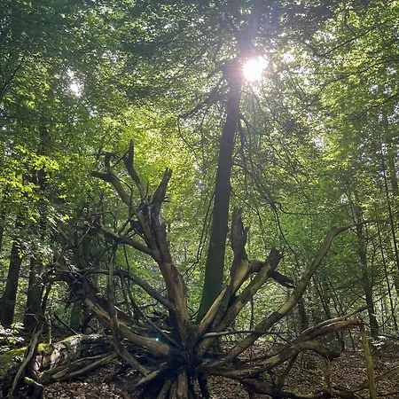 度假居 Architect-designed Wooden House In Lunde