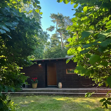 Architect-designed Wooden House In Lunde *